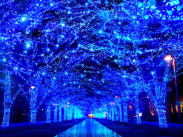 LED Fairy Lights Blue With White Cable - Image 2