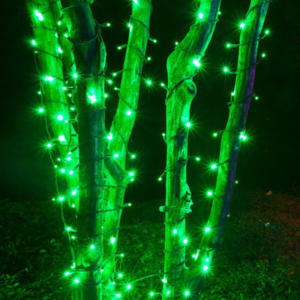 LED Fairy Lights Green - Image 3