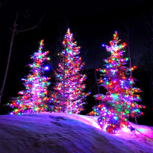 LED Fairy Lights Multi Colour - Image 3